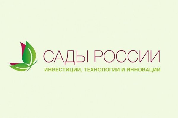Кракен найти сайт