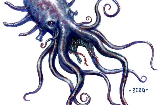 Kraken 20at